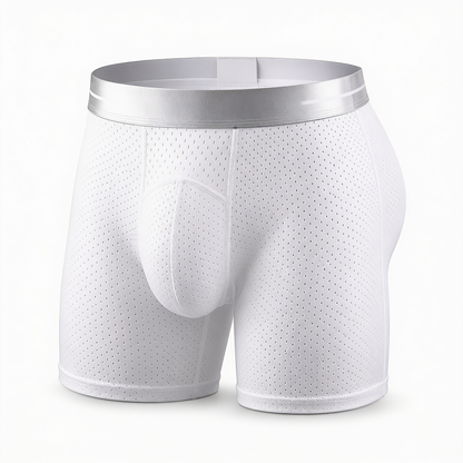 🔥 LAST DAY 70% OFF 🔥 AirFlex™ Premium Leakproof IceSilk Mesh Men's Boxer