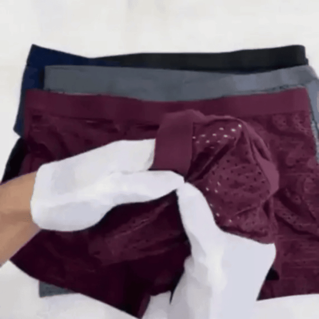 ⚡ 60% OFF TODAY | AeroGuard™ Premium Leakproof IceSilk Cooling Boxer