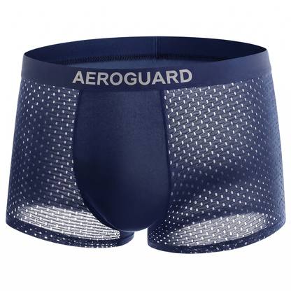 ⚡ 60% OFF TODAY | AeroGuard™ Premium Leakproof IceSilk Cooling Boxer