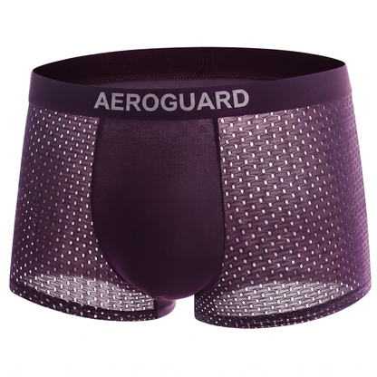 ⚡ 60% OFF TODAY | AeroGuard™ Premium Leakproof IceSilk Cooling Boxer