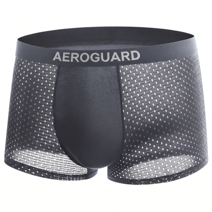 ⚡ 60% OFF TODAY | AeroGuard™ Premium Leakproof IceSilk Cooling Boxer
