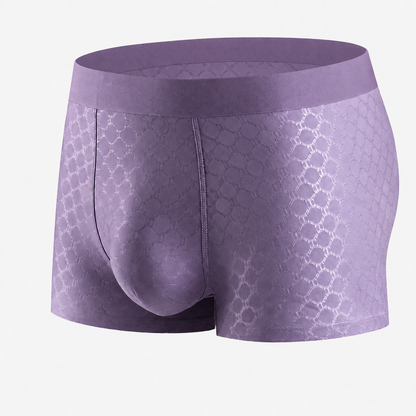 ❄️ 60% OFF TODAY | CryoMesh™ Sub-Zero Cooling & Stealth-Dry Boxer